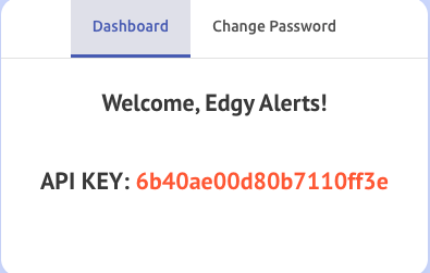 Example of a dashboard containing a fake API key